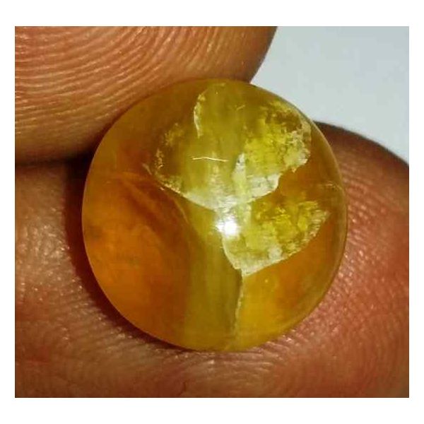 6.54 Carats Kanak Khet Chrysoberyl Cat's Eye 12.24 x 11.92 x 7.90 mm