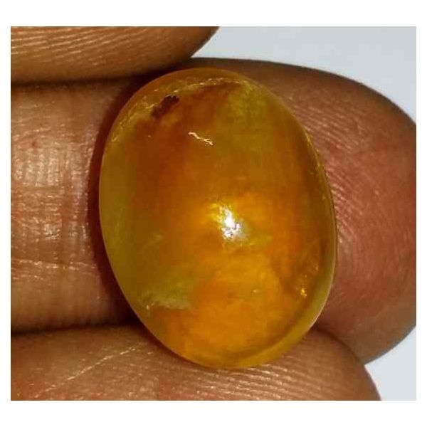 7.20 Carats Kanak Khet Chrysoberyl Cat's Eye 15.29 x 11.70 x 6.87 mm