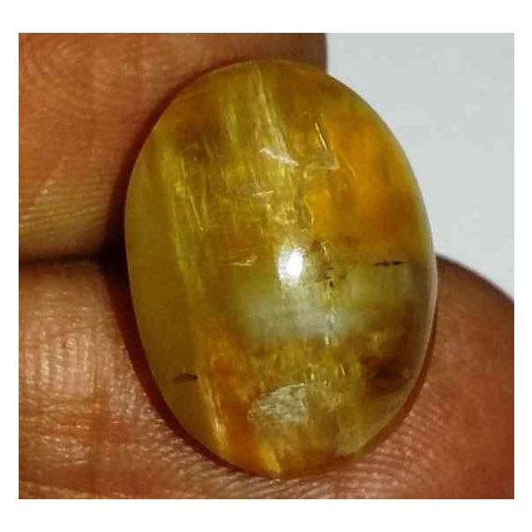 11.44 Carats Kanak Khet Chrysoberyl Cat's Eye 16.90 x 12.25 x 9.28 mm