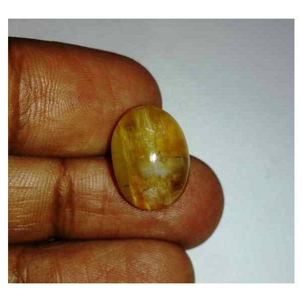 11.44 Carats Kanak Khet Chrysoberyl Cat's Eye 16.90 x 12.25 x 9.28 mm