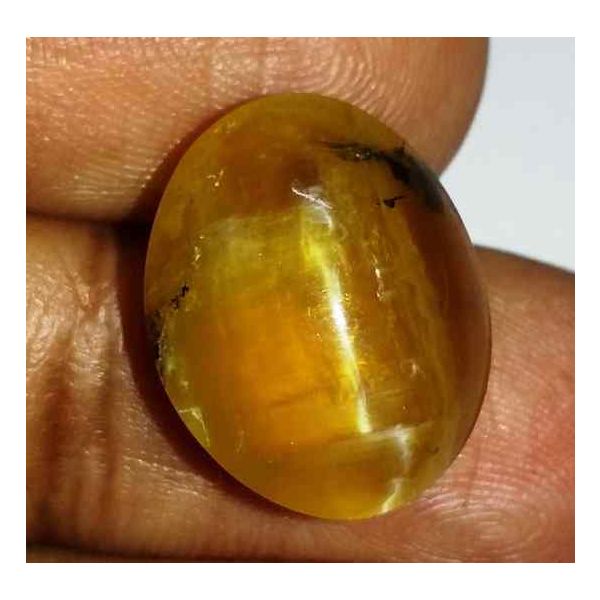 12.27 Carats Kanak Khet Chrysoberyl Cat's Eye 17.26 x 13.92 x 9.09 mm