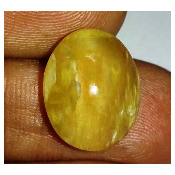 8.23 Carats Kanak Khet Chrysoberyl Cat's Eye 15.21 x 12.08 x 7.54 mm