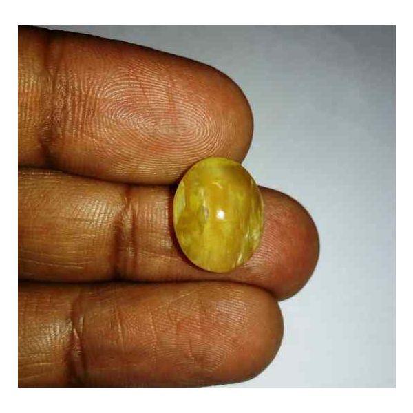 8.23 Carats Kanak Khet Chrysoberyl Cat's Eye 15.21 x 12.08 x 7.54 mm