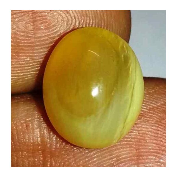 6.16 Carats Kanak Khet Chrysoberyl Cat's Eye 13.10 x 10.90 x 8.00 mm