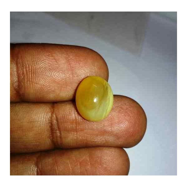 6.16 Carats Kanak Khet Chrysoberyl Cat's Eye 13.10 x 10.90 x 8.00 mm