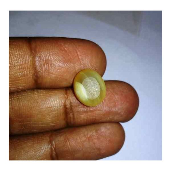 6.16 Carats Natural Chrysoberyl Opal Cat's Eye 13.10 x 10.90 x 8.00 mm