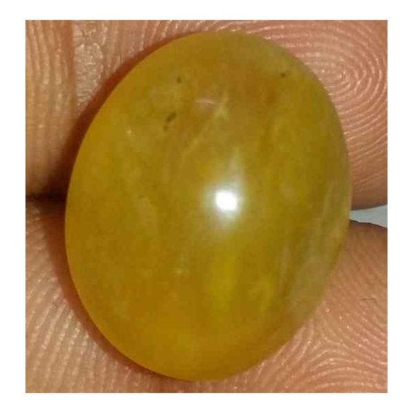 11.55 Carats Kanak Khet Chrysoberyl Cat's Eye 16.19 x 12.90 x 9.18 mm