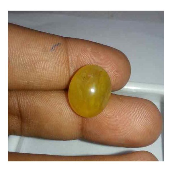 11.55 Carats Kanak Khet Chrysoberyl Cat's Eye 16.19 x 12.90 x 9.18 mm