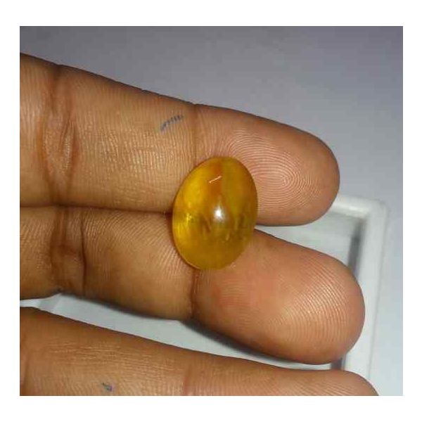 8.63 Carats Kanak Khet Chrysoberyl Cat's Eye 17.19 x 12.68 x 7.23 mm