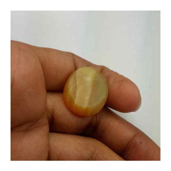 27.03 Carats Chrysoberyl Cat's Eye 24.64 x 18.28 x 11.81 mm