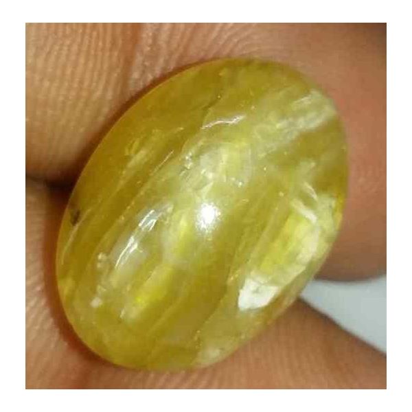 12.17 Carats Chrysoberyl Cat's Eye 17.51 x 12.61 x 8.86 mm