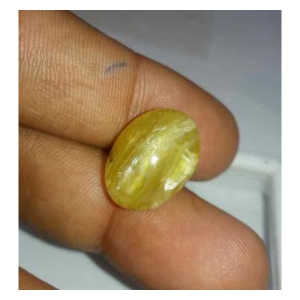 12.17 Carats Chrysoberyl Cat's Eye 17.51 x 12.61 x 8.86 mm