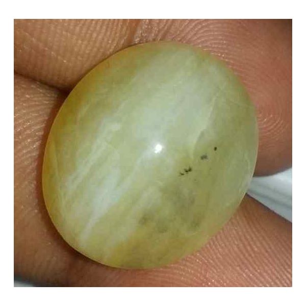 19.31 Carats Chrysoberyl Cat's Eye 19.86 x 16.82 x 10.76 mm