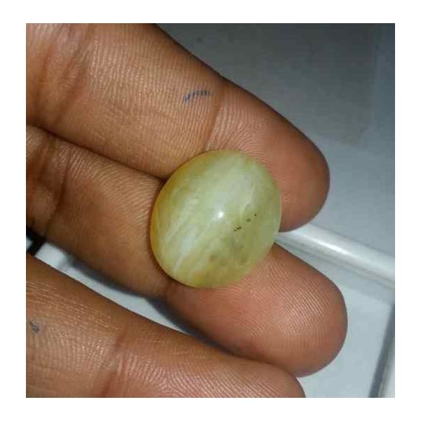 19.31 Carats Chrysoberyl Cat's Eye 19.86 x 16.82 x 10.76 mm