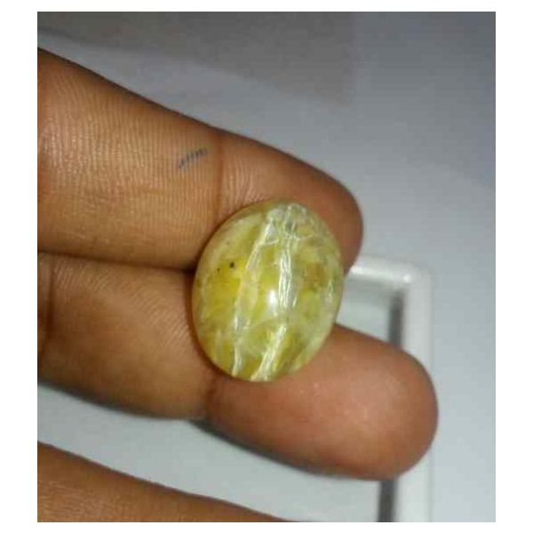 19.34 Carat Yellow Kanak Khet Chrysoberyl Cat's Eye 20.42 x 16.06 x 9.93 mm