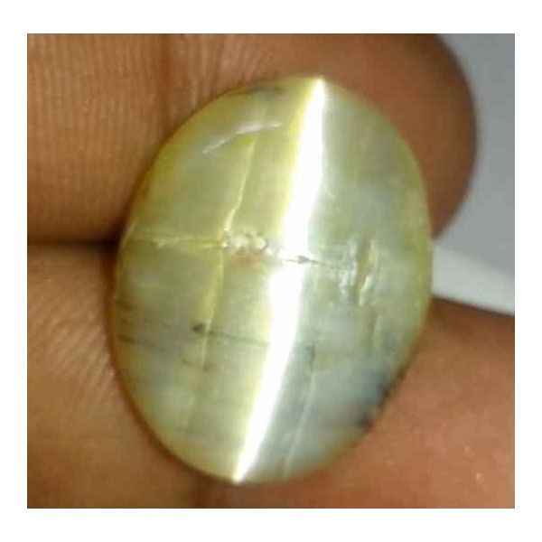 12.04 Carat Yellow Kanak Khet Chrysoberyl Cat's Eye 20.41 x 15.72 x 6.48 mm