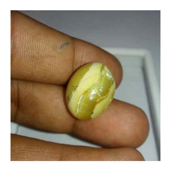 19.52 Carat Yellow Kanak Khet Chrysoberyl Cat's Eye 19.21 x 15.00 x 11.69 mm