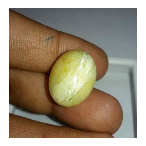 23.91 Carat Yellow Kanak Khet Chrysoberyl Cat's Eye 20.66 x 15.70 x 13.19 mm