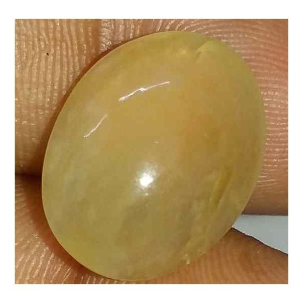 8.89 Carat Yellow Kanak Khet Chrysoberyl Cat's Eye 17.05 x 13.00 x 7.14 mm