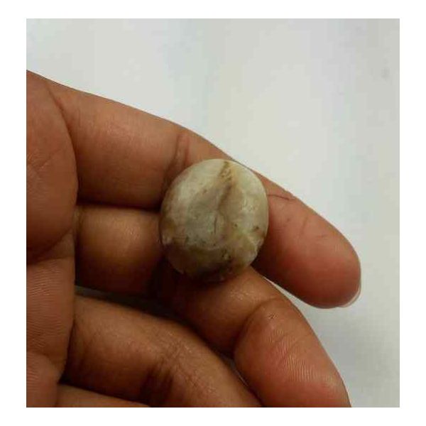21.69 Carat Natural Chrysoberyl Opal Cat's Eye 22.08 x 19.01 x 9.77 mm