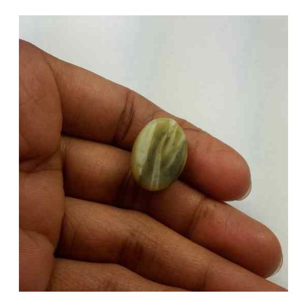 15.74 Carat Natural Chrysoberyl Opal Cat's Eye 18.87 x 14.19 x 9.95 mm