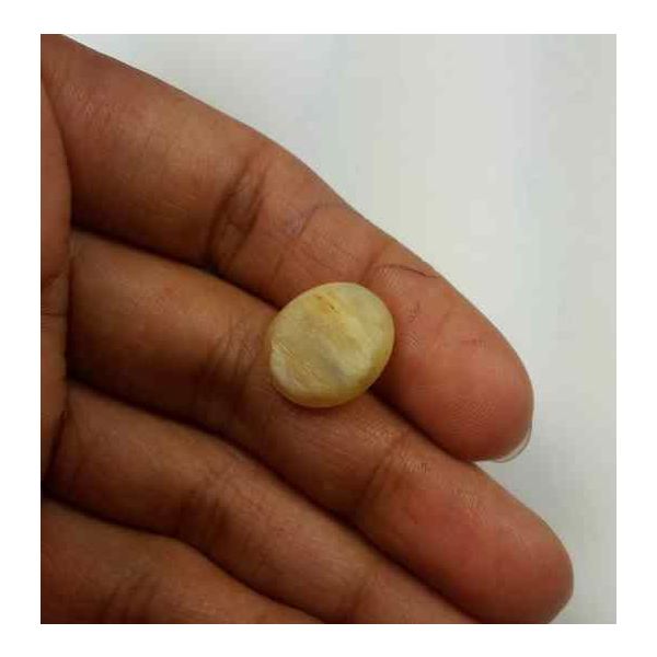 7.53 Carat Natural Chrysoberyl Opal Cat's Eye 14.41 x 12.48 x 8.23 mm