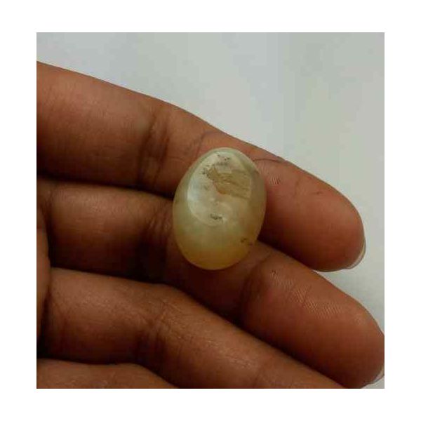 22.79 Carat Natural Chrysoberyl Opal Cat's Eye 19.51 x 14.45 x 13.12 mm