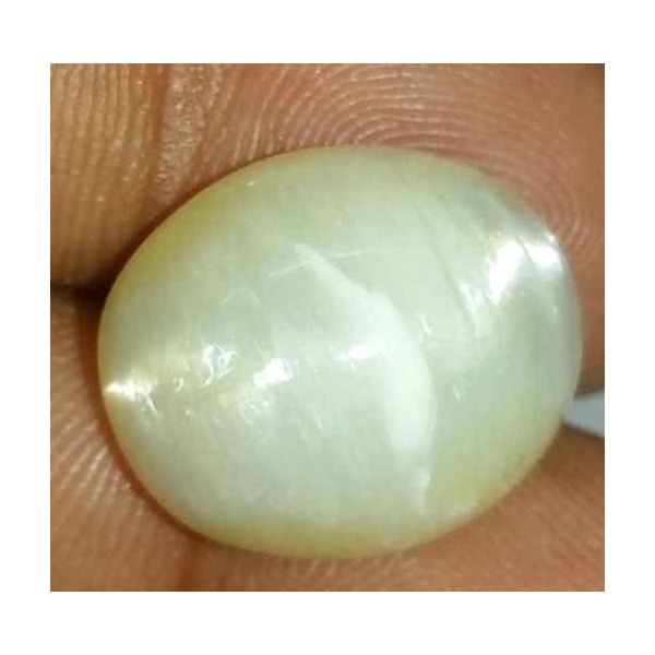 12.79 Carat Light Yellow Kanak Khet Chrysoberyl Cat's Eye 16.77 x 14.37 x 9.42 mm