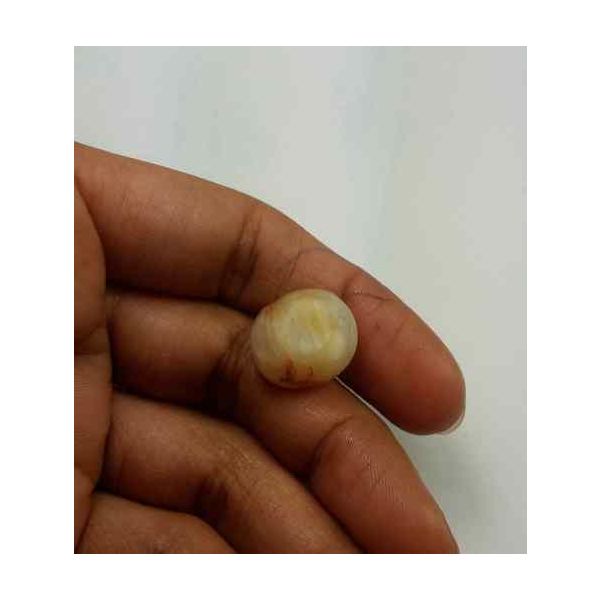 13.79 Carat Natural Chrysoberyl Opal Cat's Eye 15.26 x 13.55 x 11.48 mm