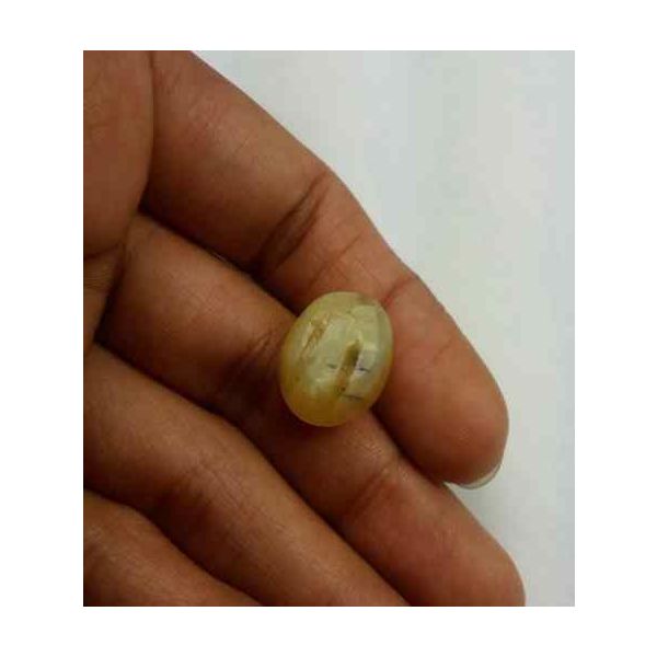 12.15 Carat Natural Chrysoberyl Opal Cat's Eye 16.52 x 12.76 x 5.25 mm