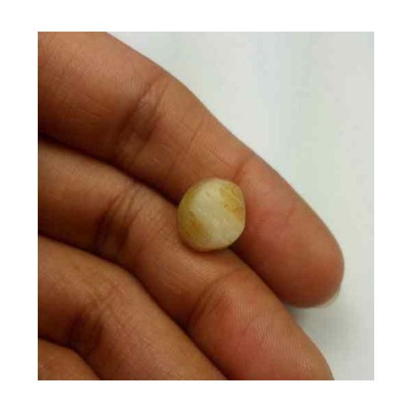 5.10 Carat Natural Chrysoberyl Opal Cat's Eye 11.68 x 10.58 x 7.33 mm