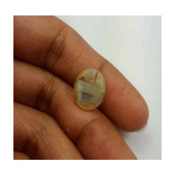 4.13 Carat Natural Chrysoberyl Opal Cat's Eye 13.60 x 10.47 x 5.13 mm