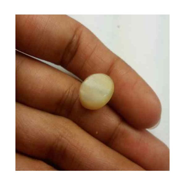 6.72 Carat Natural Chrysoberyl Opal Cat's Eye 12.65 x 10.74 x 8.03 mm