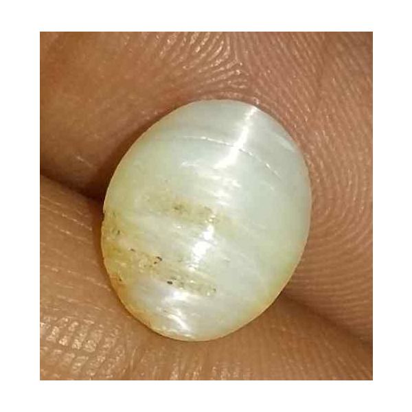 1.68 Carat Creamish White Kanak Khet Chrysoberyl Cat's Eye 10.21 x 8.29 x 3.82 mm