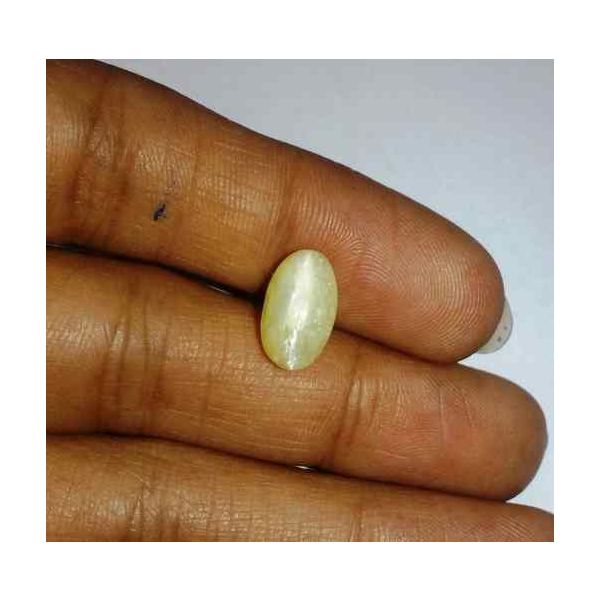 2.47 Carat Creamish White Kanak Khet Chrysoberyl Cat's Eye 11.04 x 6.60 x 5.52 mm