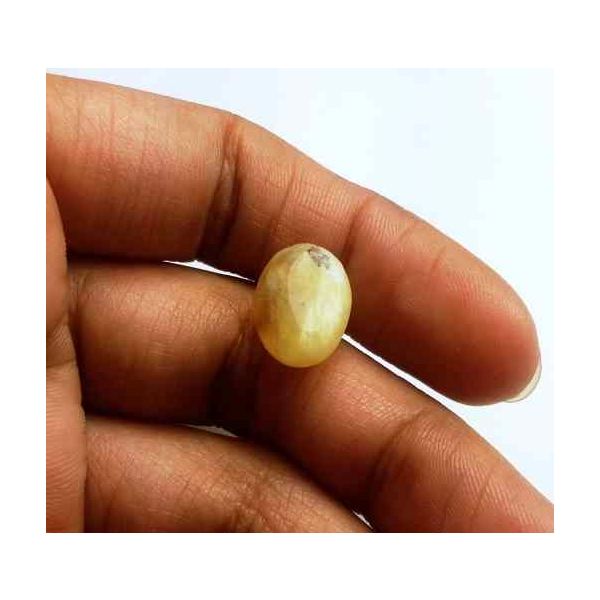 5.69 Carat Natural Chrysoberyl Opal Cat's Eye 13.60 x 10.16 x 7.52 mm