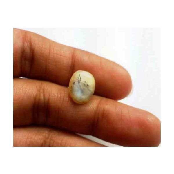 3.82 Carat Natural Chrysoberyl Opal Cat's Eye 11.96 x 8.90 x 6.36 mm