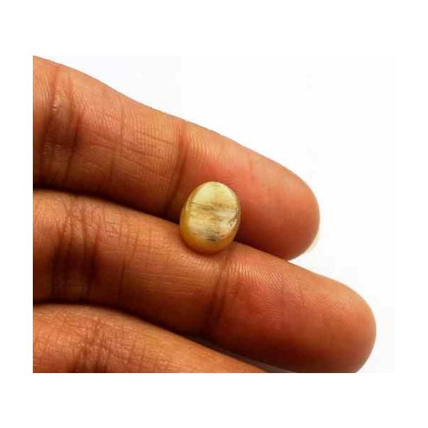 2.48 Carat Natural Chrysoberyl Opal Cat's Eye 9.84 x 7.98 x 5.23 mm