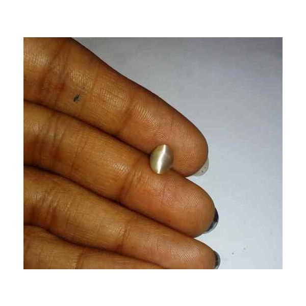 0.79 Carat Creamish White Kanak Khet Chrysoberyl Cat's Eye 7.08 x 5.58 x 3.42 mm