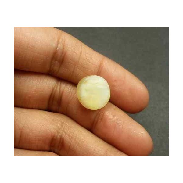 8.94 Carat Natural Chrysoberyl Opal Cat's Eye 13.16 x 12.77 x 8.84 mm