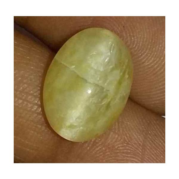 5.44 Carat Yellow Kanak Khet Chrysoberyl Cat's Eye 13.47 x 9.79 x 6.97 mm