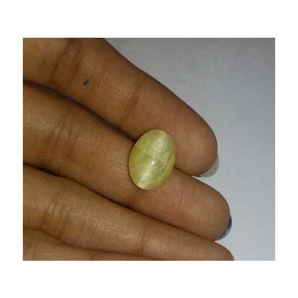 5.44 Carat Yellow Kanak Khet Chrysoberyl Cat's Eye 13.47 x 9.79 x 6.97 mm