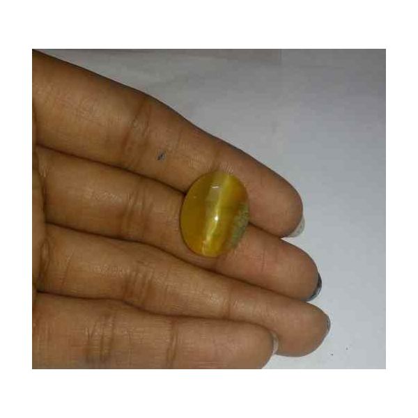 12.15 Carat Yellow Kanak Khet Chrysoberyl Cat's Eye 18.06 x 14.04 x 7.58 mm