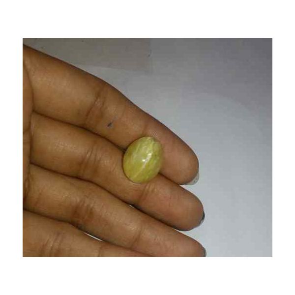 9.9 Carat Yellow Kanak Khet Chrysoberyl Cat's Eye 15.53 x 12.34 x 8.69 mm