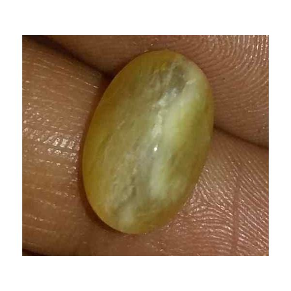 4.04 Carat Yellow Kanak Khet Chrysoberyl Cat's Eye 12.87 x 8.33 x 6.51 mm