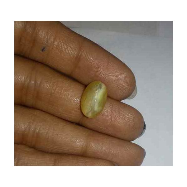 4.04 Carat Yellow Kanak Khet Chrysoberyl Cat's Eye 12.87 x 8.33 x 6.51 mm