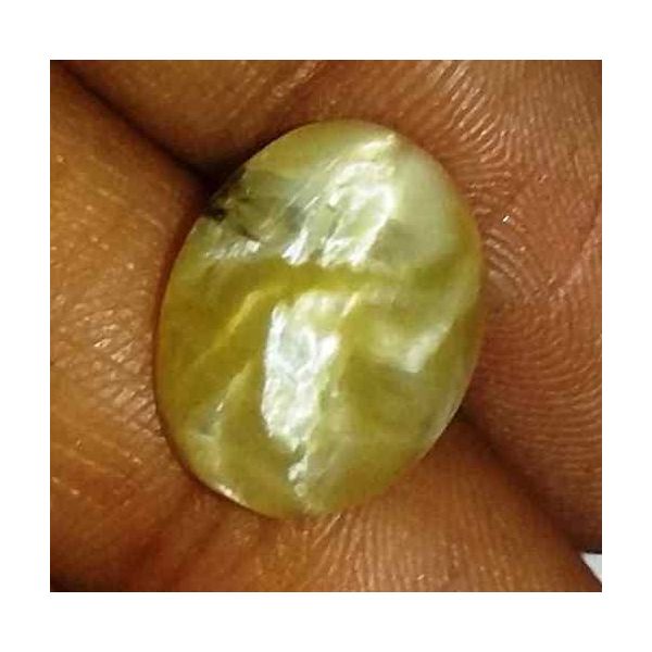 5.09 Carat Yellow Kanak Khet Chrysoberyl Cat's Eye 13.51 x 10.40 x 6.24 mm