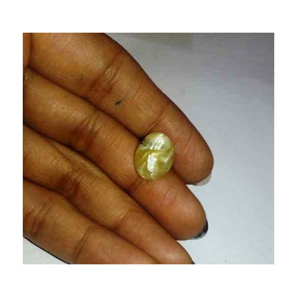 5.09 Carat Yellow Kanak Khet Chrysoberyl Cat's Eye 13.51 x 10.40 x 6.24 mm