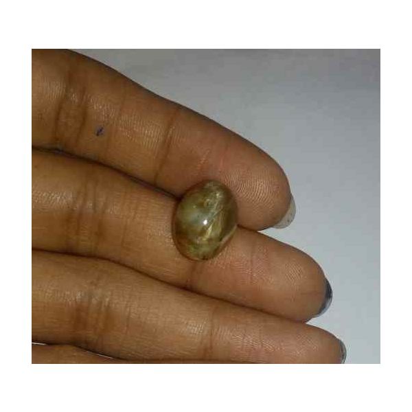 7.02 Carat Yellow Kanak Khet Chrysoberyl Cat's Eye 13.30 x 9.96 x 9.21 mm