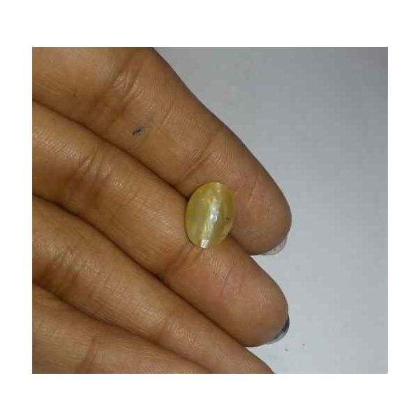 2.71 Carat Yellow Kanak Khet Chrysoberyl Cat's Eye 11.01 x 7.99 x 5.45 mm